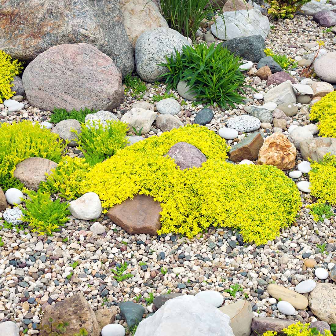 Garten- und Landschaftsbau Neuwied